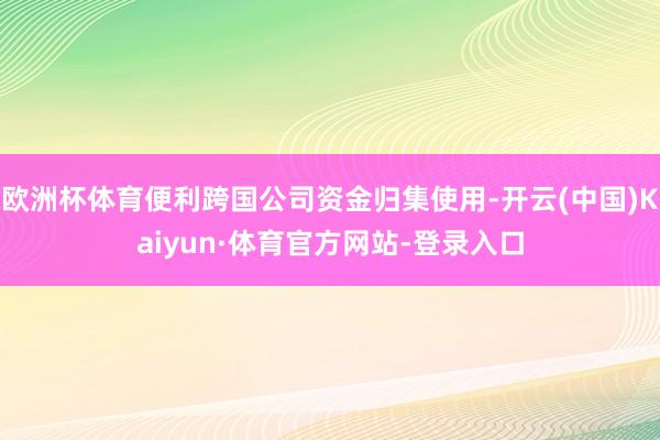 欧洲杯体育便利跨国公司资金归集使用-开云(中国)Kaiyun·体育官方网站-登录入口