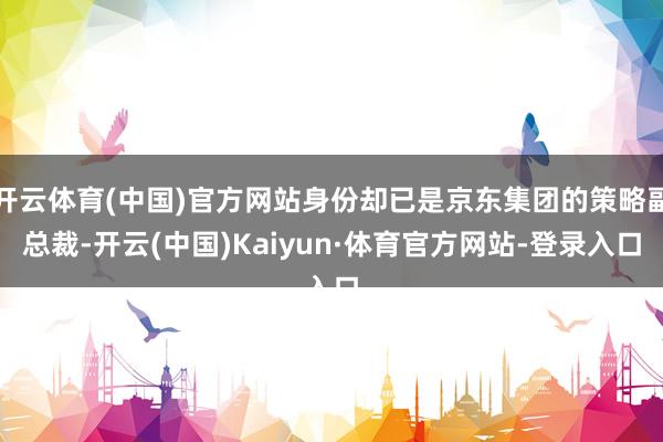 开云体育(中国)官方网站身份却已是京东集团的策略副总裁-开云(中国)Kaiyun·体育官方网站-登录入口