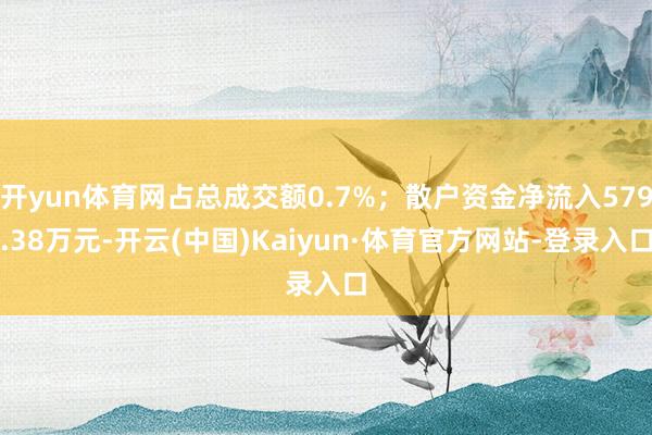 开yun体育网占总成交额0.7%；散户资金净流入579.38万元-开云(中国)Kaiyun·体育官方网站-登录入口