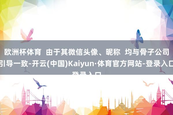 欧洲杯体育  由于其微信头像、昵称  均与骨子公司引导一致-开云(中国)Kaiyun·体育官方网站-登录入口