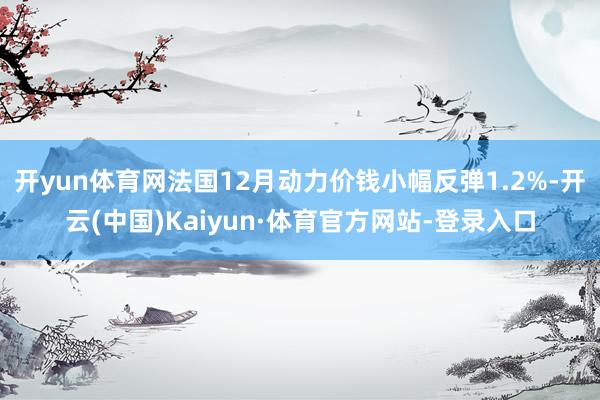 开yun体育网法国12月动力价钱小幅反弹1.2%-开云(中国)Kaiyun·体育官方网站-登录入口