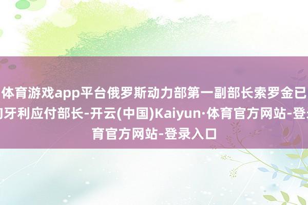 体育游戏app平台俄罗斯动力部第一副部长索罗金已示知匈牙利应付部长-开云(中国)Kaiyun·体育官方网站-登录入口