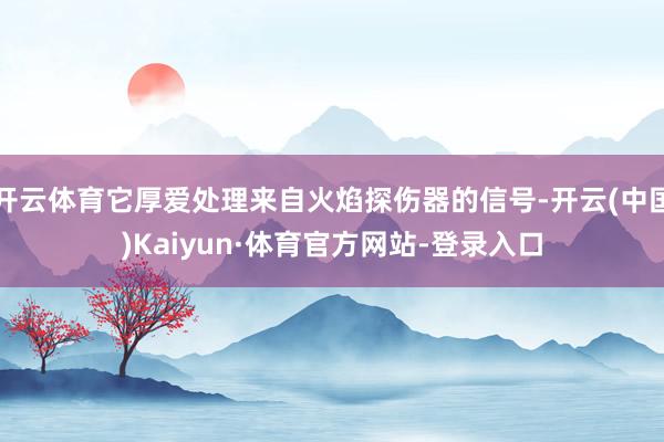 开云体育它厚爱处理来自火焰探伤器的信号-开云(中国)Kaiyun·体育官方网站-登录入口