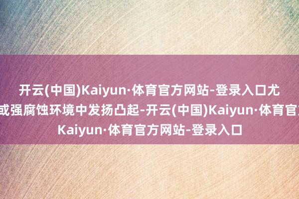 开云(中国)Kaiyun·体育官方网站-登录入口尤其在高速、高湿或强腐蚀环境中发扬凸起-开云(中国)Kaiyun·体育官方网站-登录入口