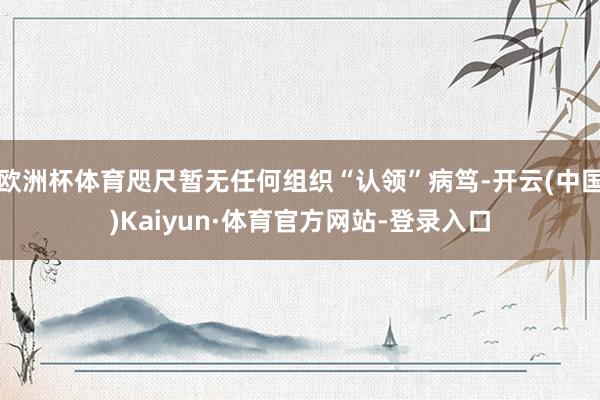欧洲杯体育咫尺暂无任何组织“认领”病笃-开云(中国)Kaiyun·体育官方网站-登录入口