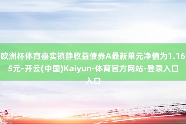 欧洲杯体育嘉实镇静收益债券A最新单元净值为1.165元-开云(中国)Kaiyun·体育官方网站-登录入口