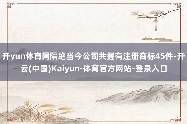 开yun体育网隔绝当今公司共握有注册商标45件-开云(中国)Kaiyun·体育官方网站-登录入口