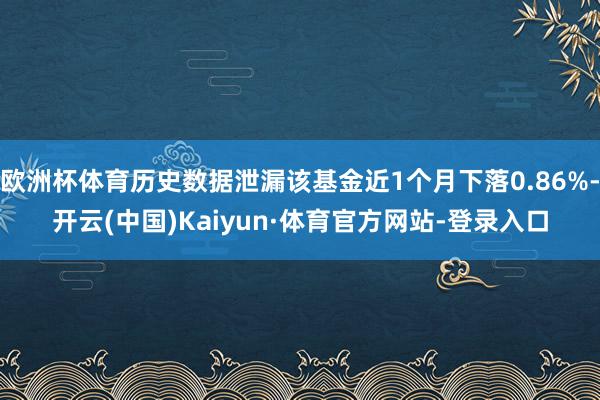 欧洲杯体育历史数据泄漏该基金近1个月下落0.86%-开云(中国)Kaiyun·体育官方网站-登录入口