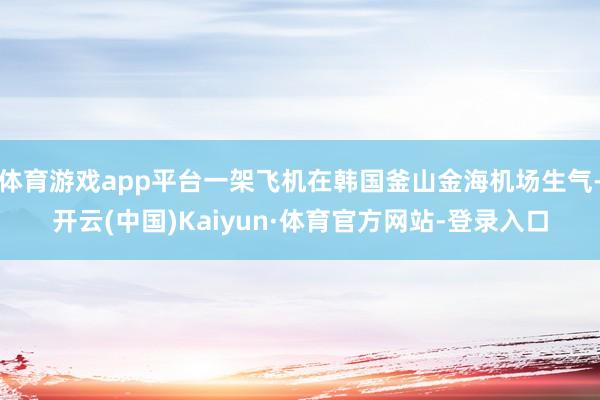 体育游戏app平台一架飞机在韩国釜山金海机场生气-开云(中国)Kaiyun·体育官方网站-登录入口