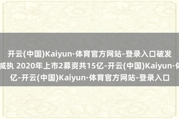 开云(中国)Kaiyun·体育官方网站-登录入口破发股豪森智能2家激动拟减执 2020年上市2募资共15亿-开云(中国)Kaiyun·体育官方网站-登录入口