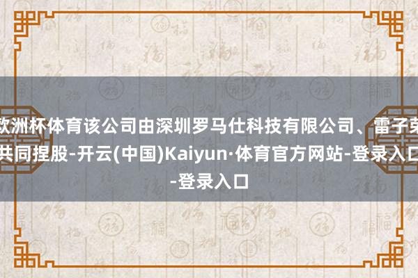 欧洲杯体育该公司由深圳罗马仕科技有限公司、雷子荣共同捏股-开云(中国)Kaiyun·体育官方网站-登录入口
