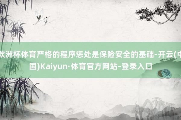 欧洲杯体育严格的程序惩处是保险安全的基础-开云(中国)Kaiyun·体育官方网站-登录入口