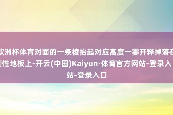 欧洲杯体育对面的一条棱抬起对应高度一霎开释掉落在刚性地板上-开云(中国)Kaiyun·体育官方网站-登录入口